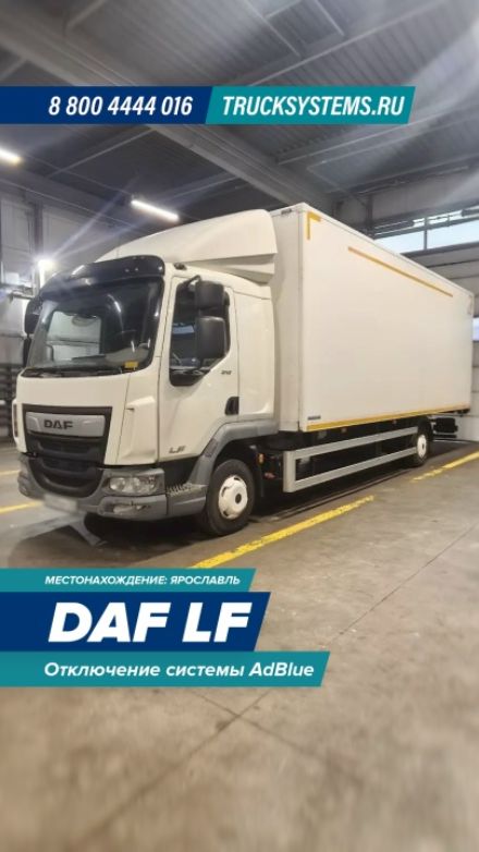Видео: DAF LF — работа ТракСистемс